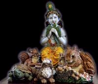 Krishna's Pets�